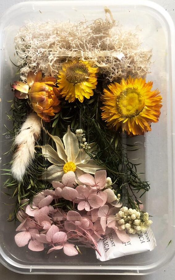 AAI Planet Dry Flowers