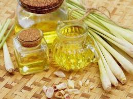 AAI Planet Lemon Grass Fragrance Oil