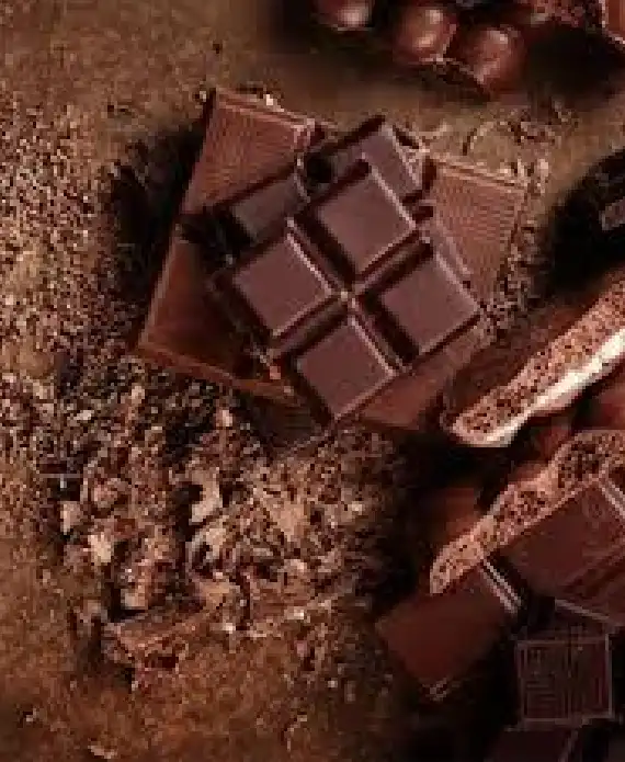 AAI Planet Chocolate Fragrance Oil