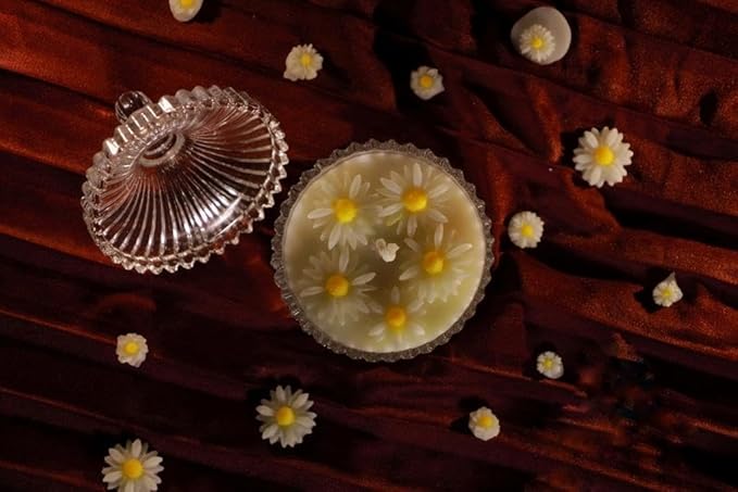 Aai Planet Candles Jar Daisy Candle Home Decor & Gift