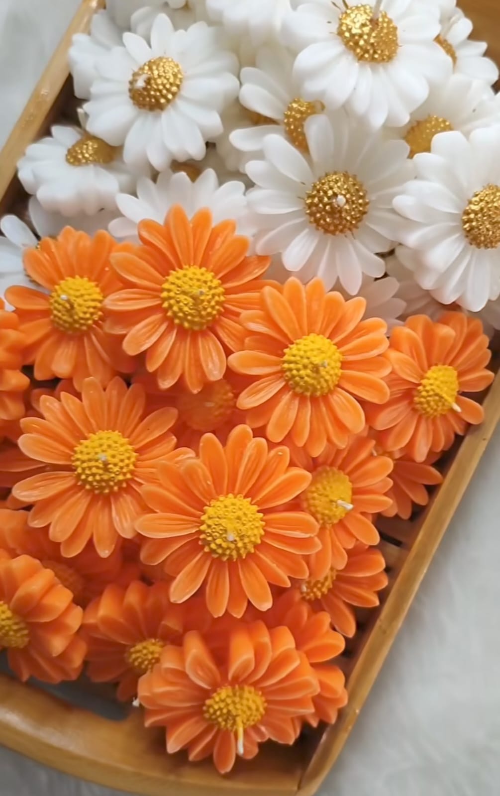 Aai Planet Daisy Floating Candles